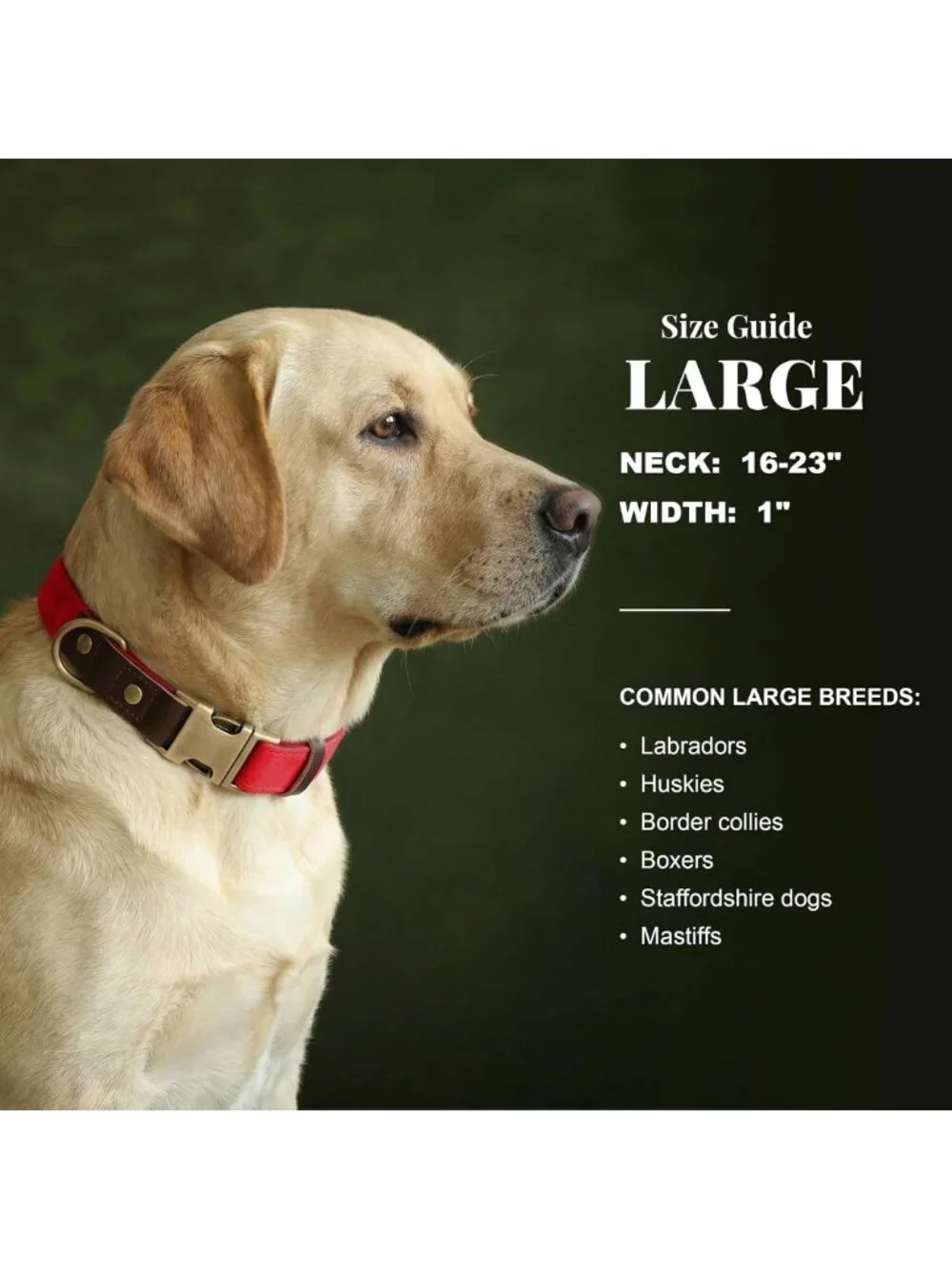 Stylish PU Leather Dog Collar for Large Dogs, Soft Nylon Lining, Adjustable Red